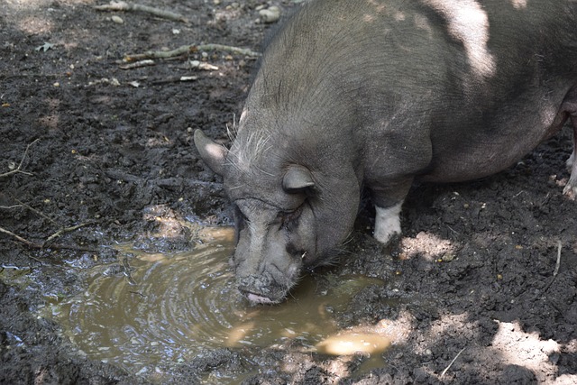 等球员表现 等球员表现