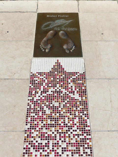 员通过这次 员通过这次