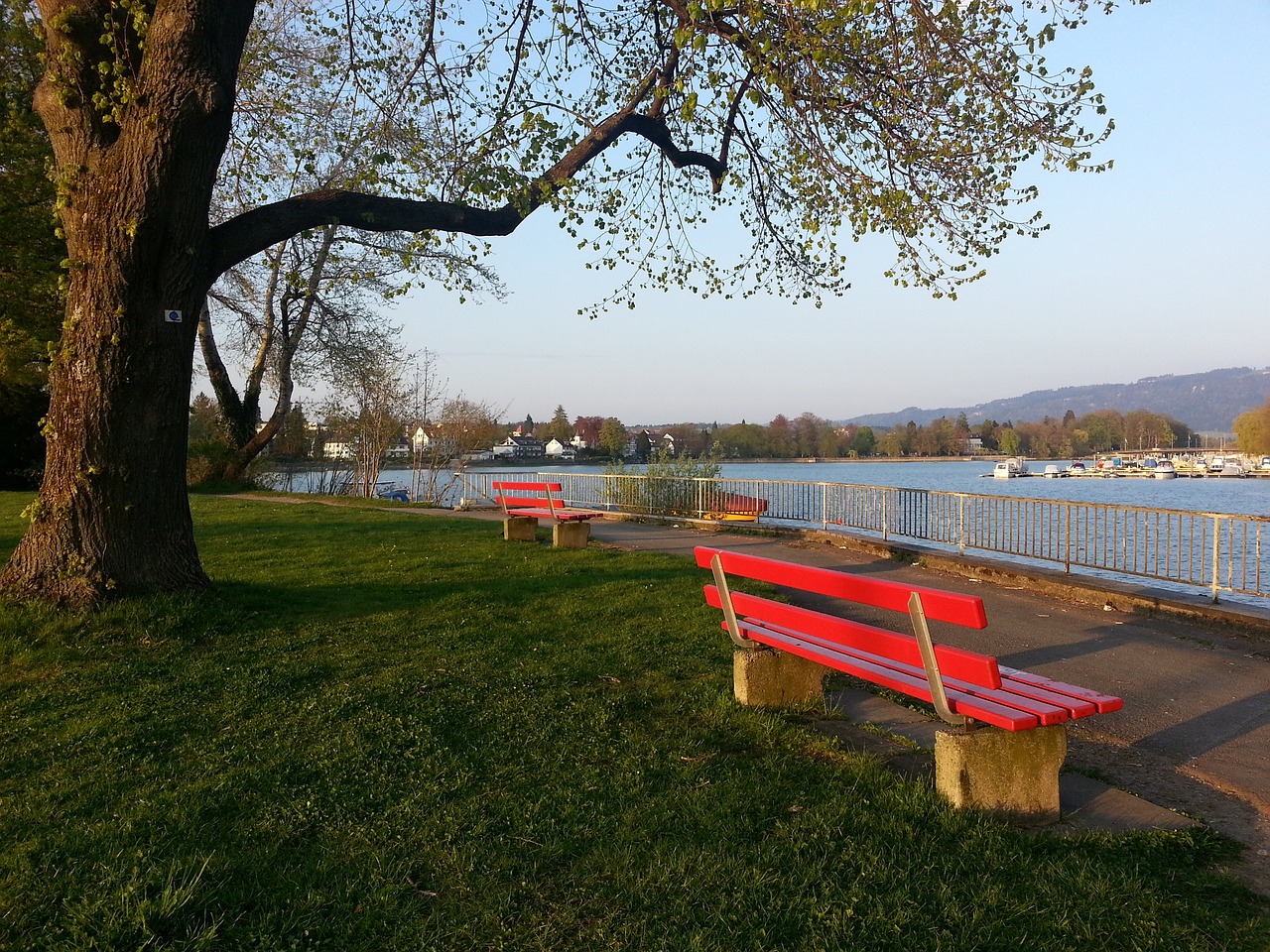 比赛的公平 比赛的公平